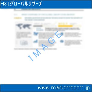 市場と産業調査レポートのイメージ